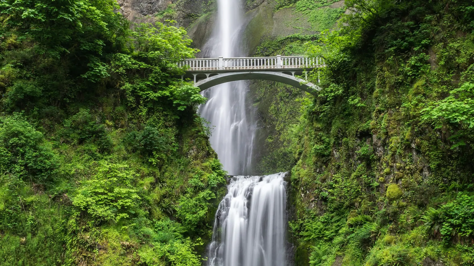Cascada entre paredes de musgo y helechos en el Quindío