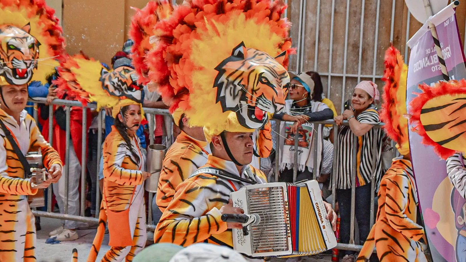 Comparsa del Carnaval de Negros y Blancos de Pasto con disfraces de tigre y acordeón