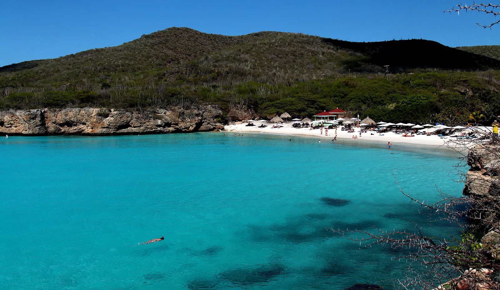 Playa Kenepa Grandi en Curazao con mar turquesa y arena blanca